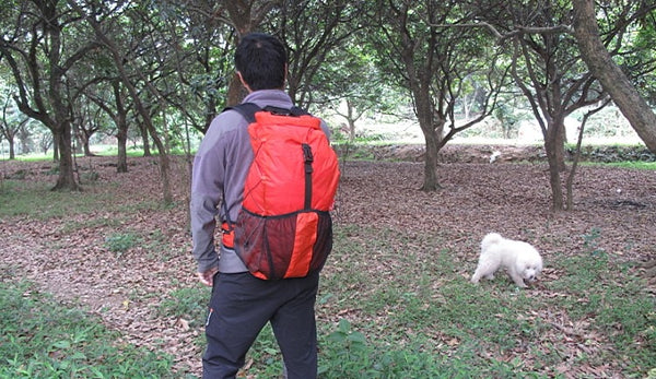 foldable Ultralight Waterproof Day Pack Outdoor 20D nylon Stuff Pack Daily Backpack
